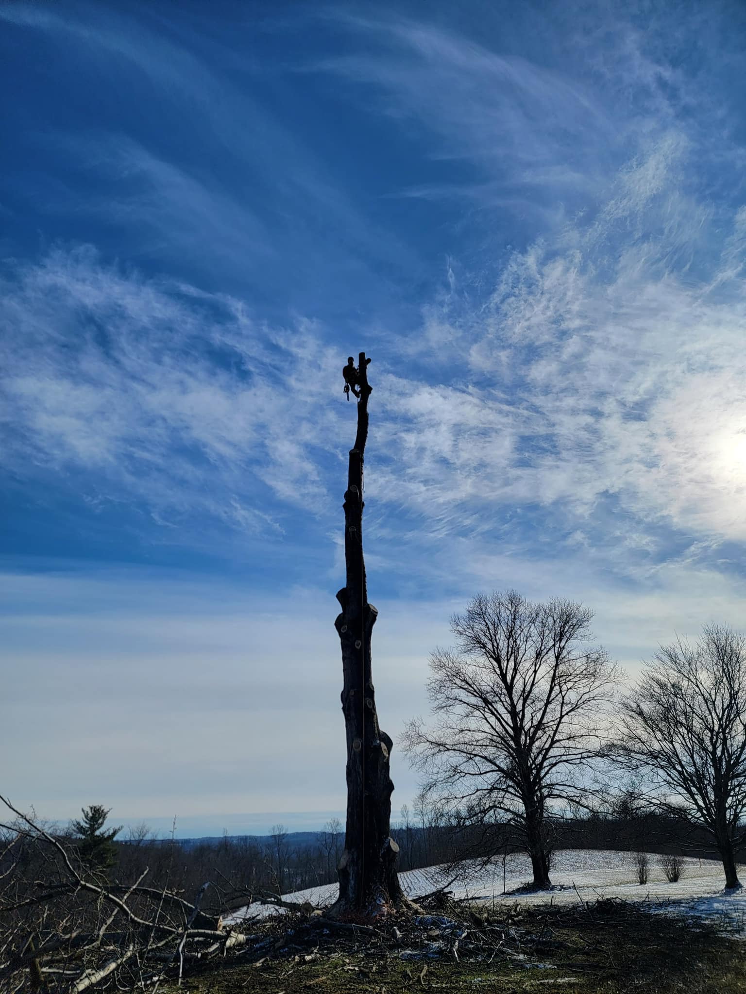 Matt’s Tree Services