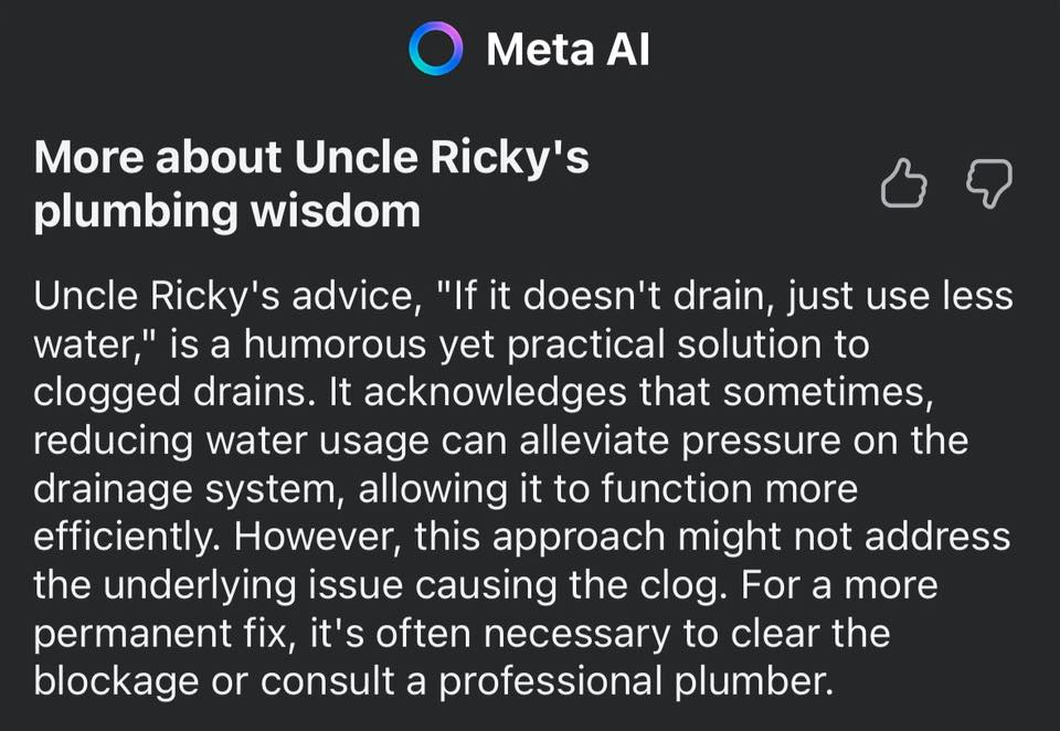 The Plumberlorian - Uncle Ricky said, ‘If it doesn’t drain, just use ...