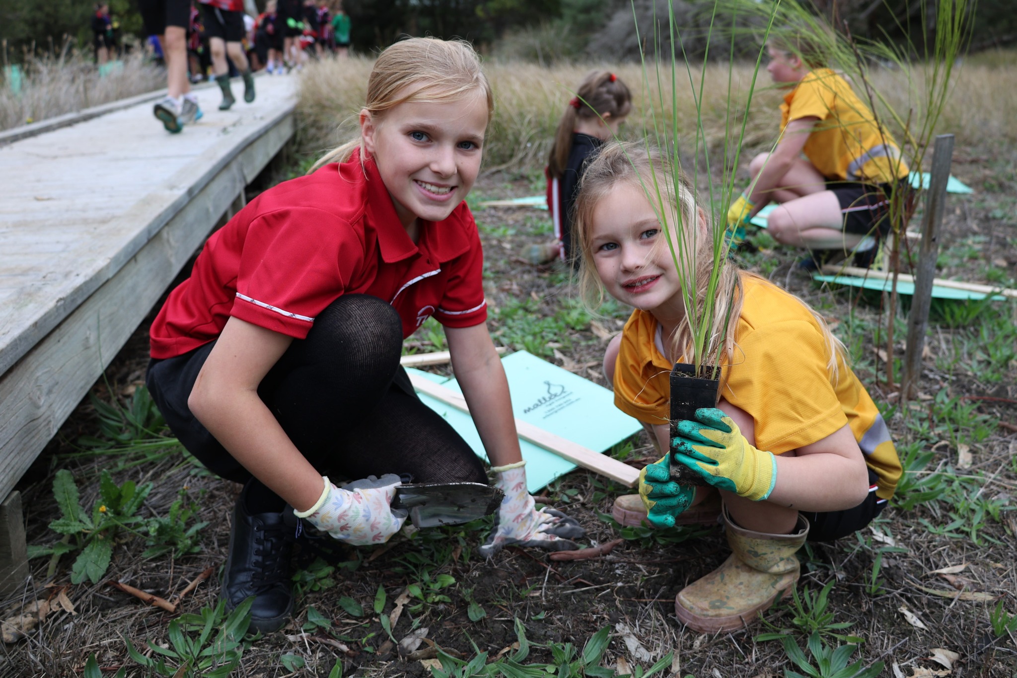 It's tree planting week in... - Tatachilla Lutheran College
