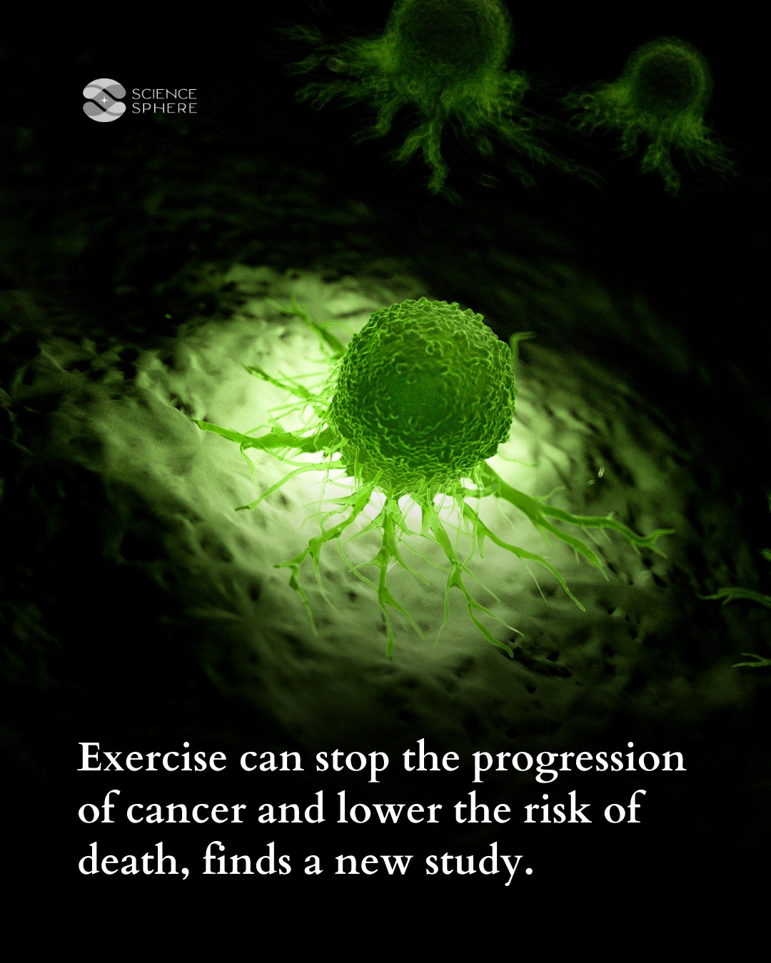 Science - 🏃‍♂️ Exercise May Help Halt Cancer Progression A new study ...