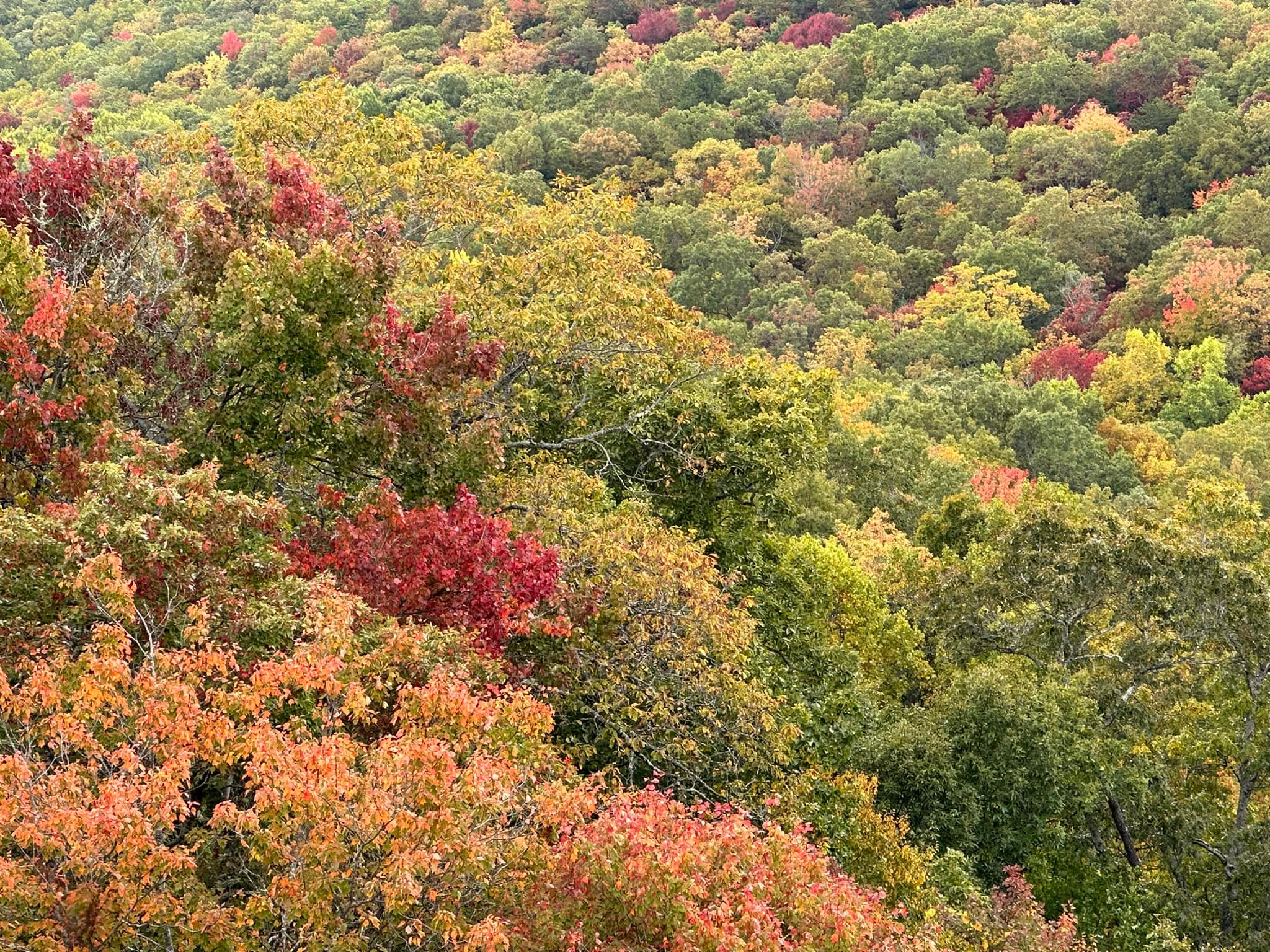 The fall color is... - Black Rock Mountain State Park