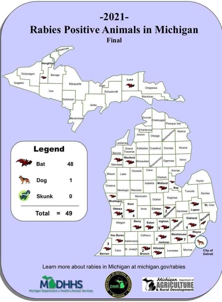 Let's talk about... - Willowood Acres Veterinary Clinic | Facebook