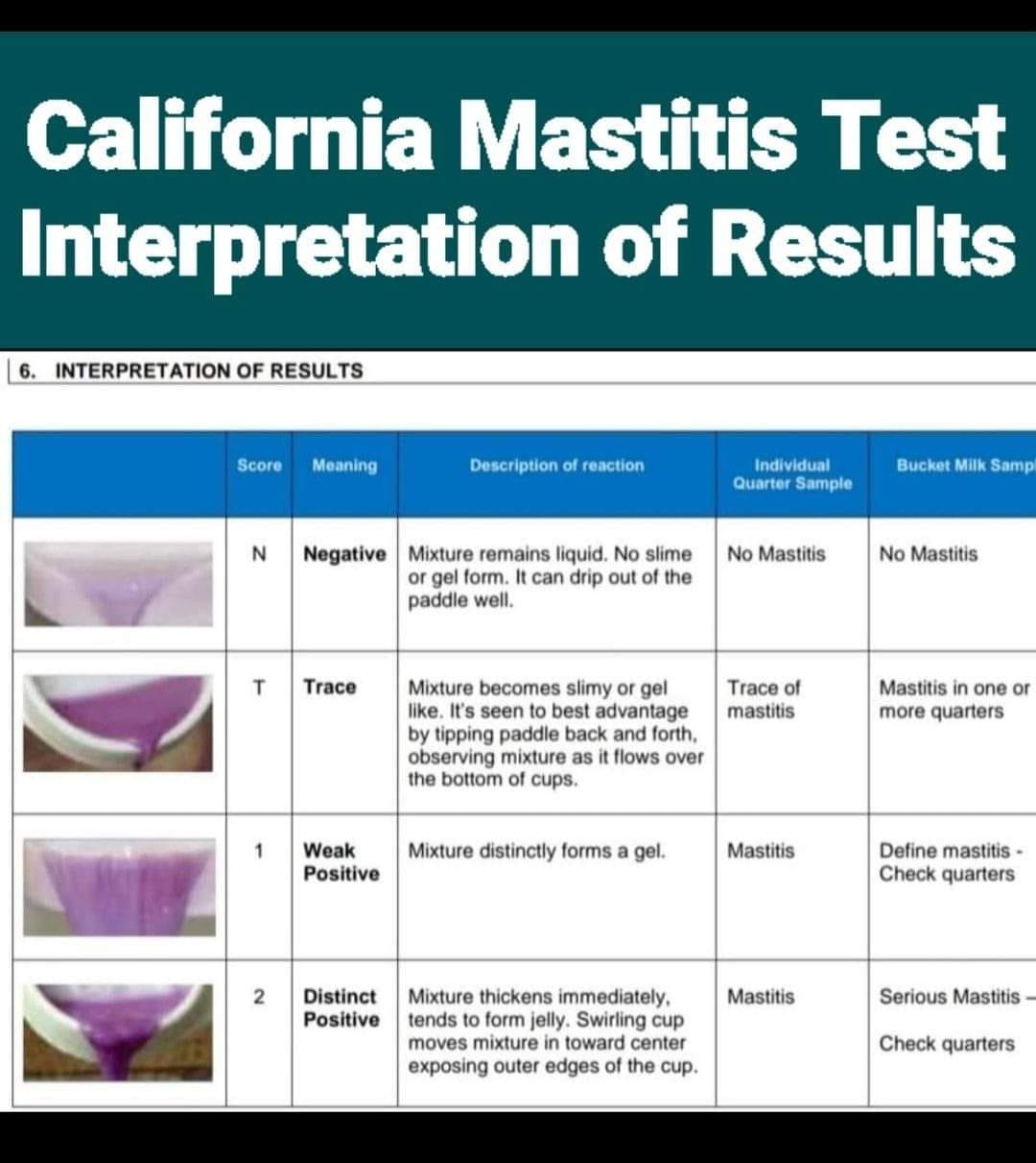California mastitis test - Animal Health Corner | Facebook