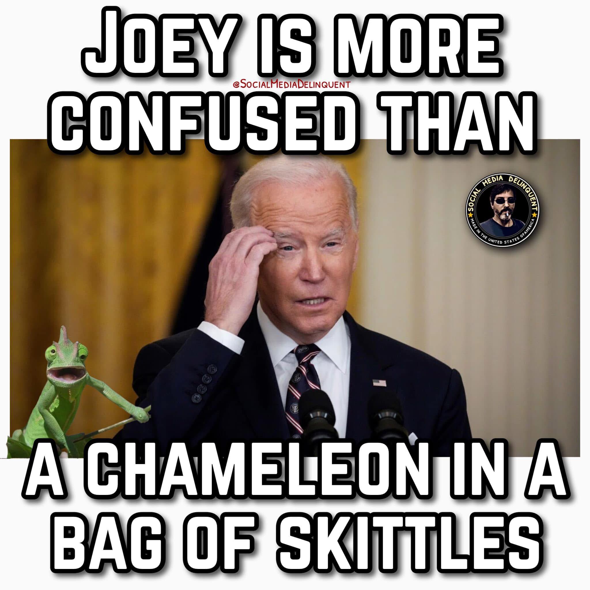 The Social - Joey put out a statement claiming he was in complete ...