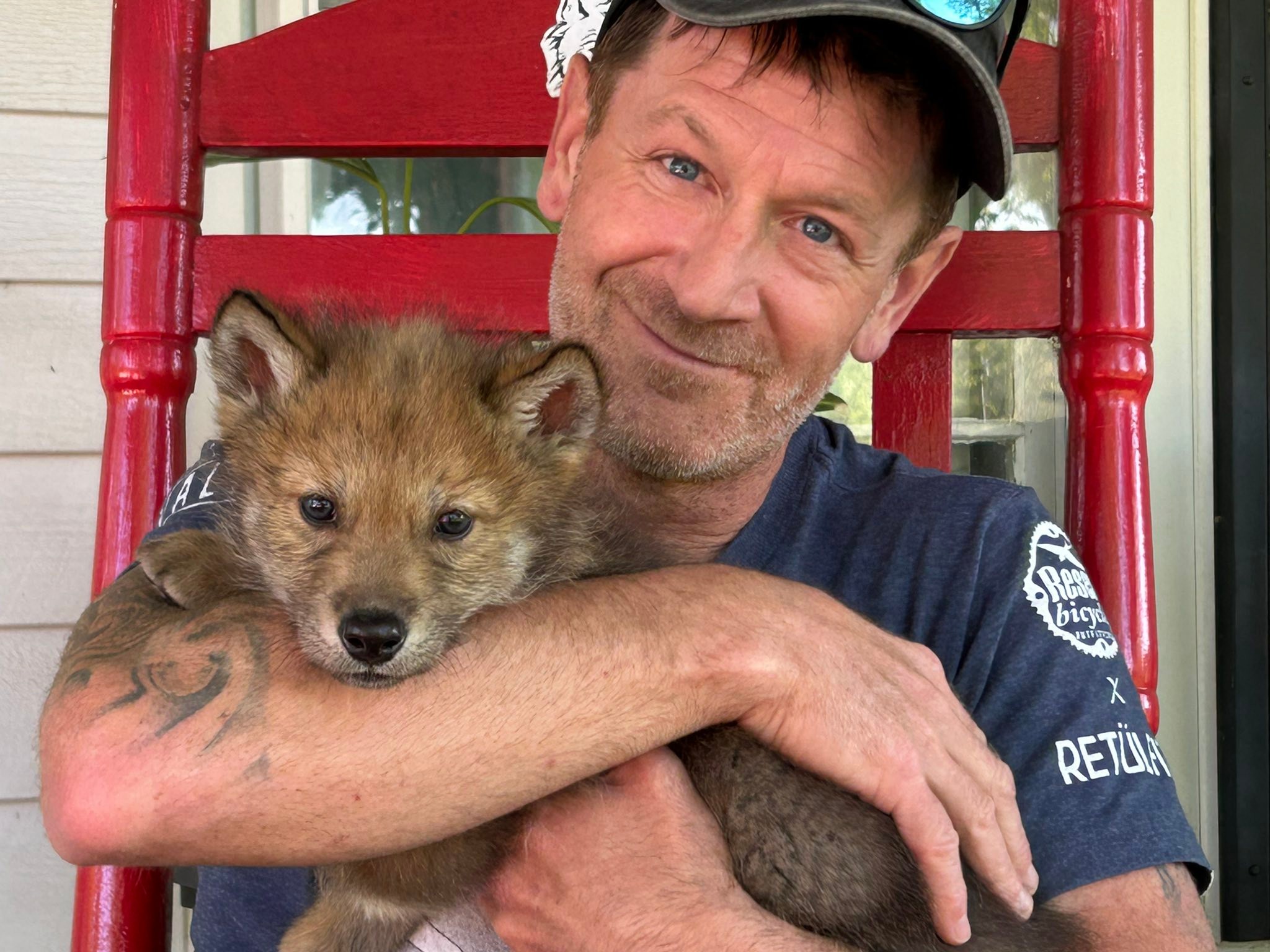 Meet... - Red Riding Hood Rescue Project - a wolfdog rescue | Facebook