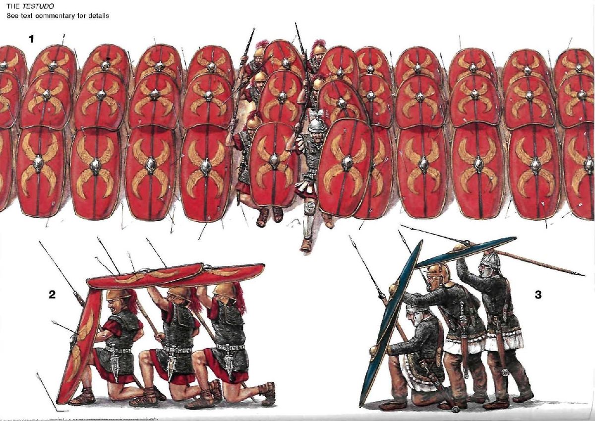 Khushi - testudo Certainly! Here’s a full paragraph about the **testudo ...