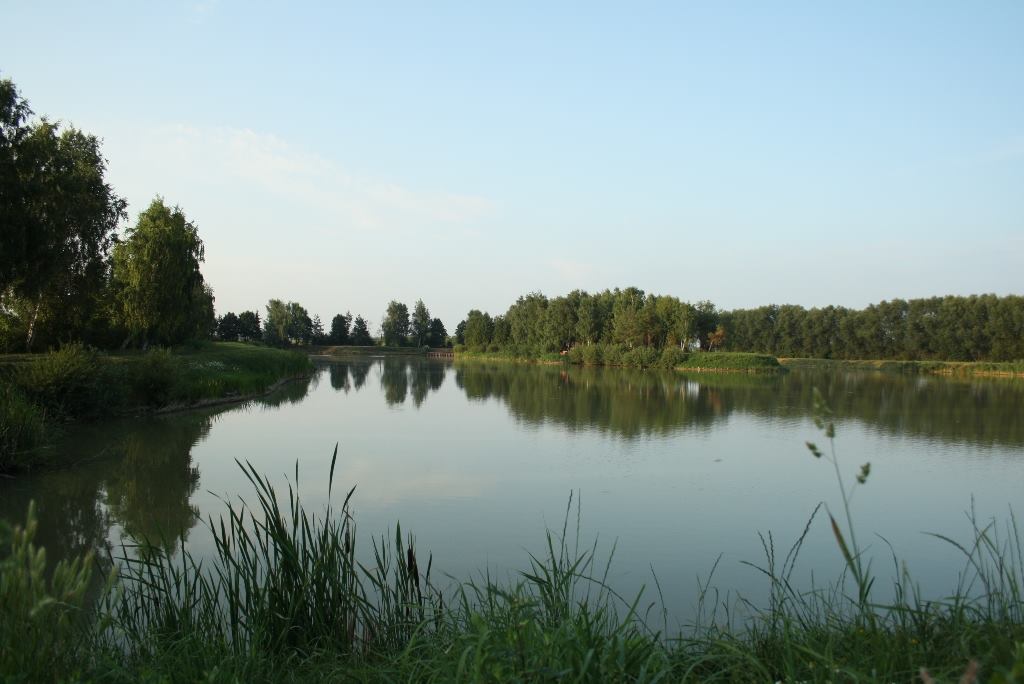 Łowisko Kaszyce Milickie | Zmigrod