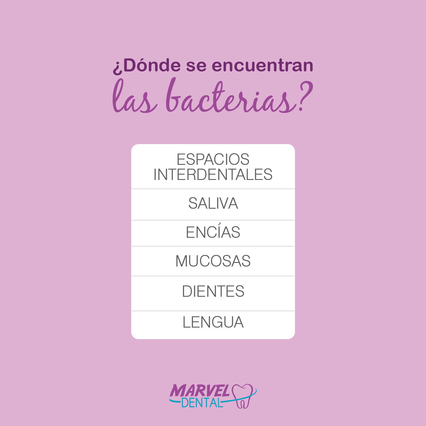 Se Encuentran Las Primeras