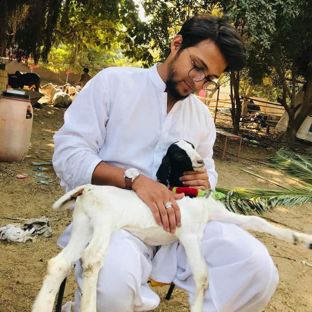 ⚠️ Attention ⚠️ Zain bhai (Owner of... - CznSs Cattle HUB | Facebook