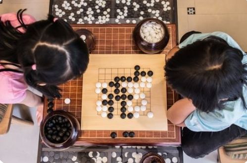 笨棋呆子 Go Smart