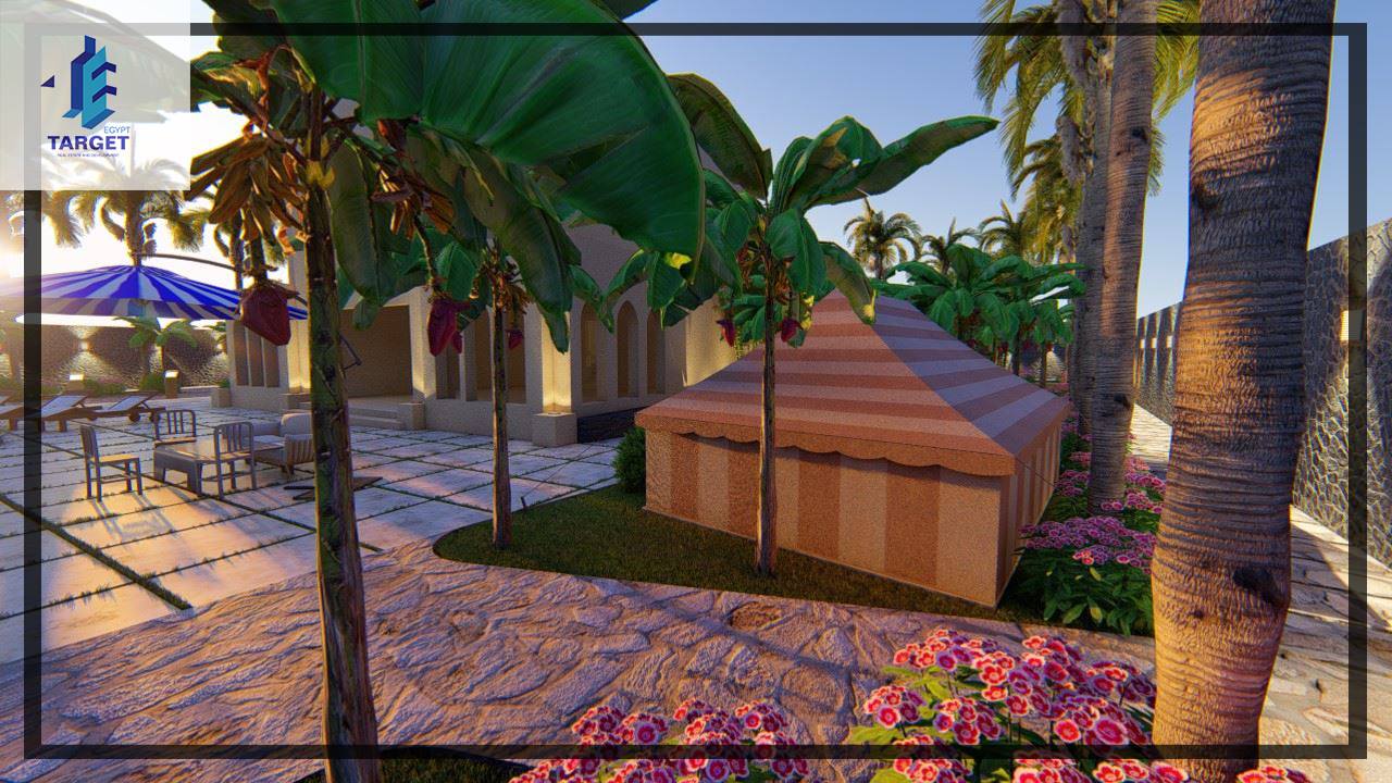 Target Egypt for Interior & Decoration | Giza