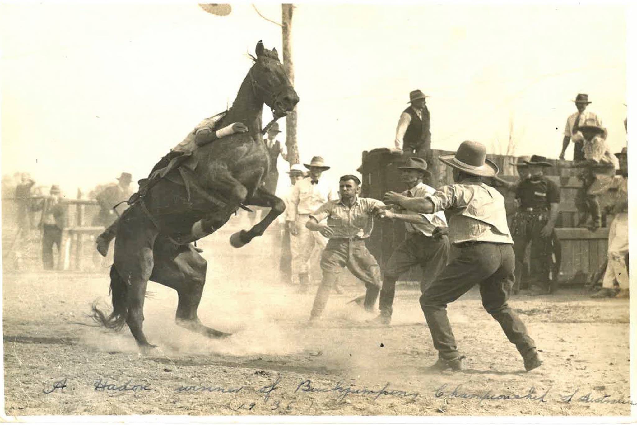 The very first official Warwick Rodeo... - YMCA Fitness QLD | Facebook