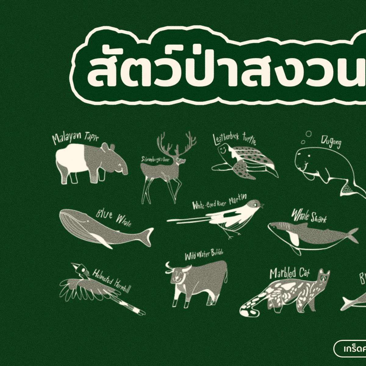พิพิธภัณฑ์... - พิพิธภัณฑ์ธรรมชาติวิทยา Natural History Museum