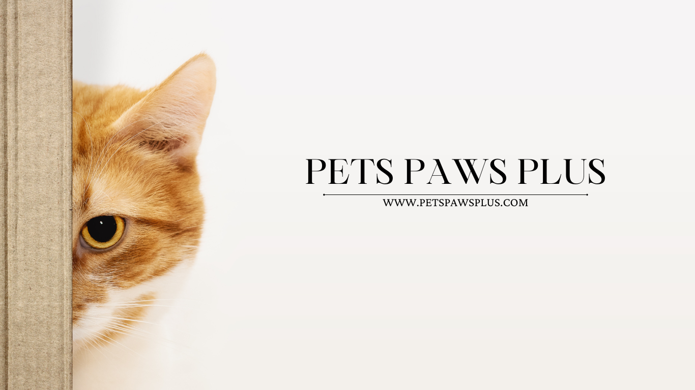 PETS PAWS PLUS | Rangsit