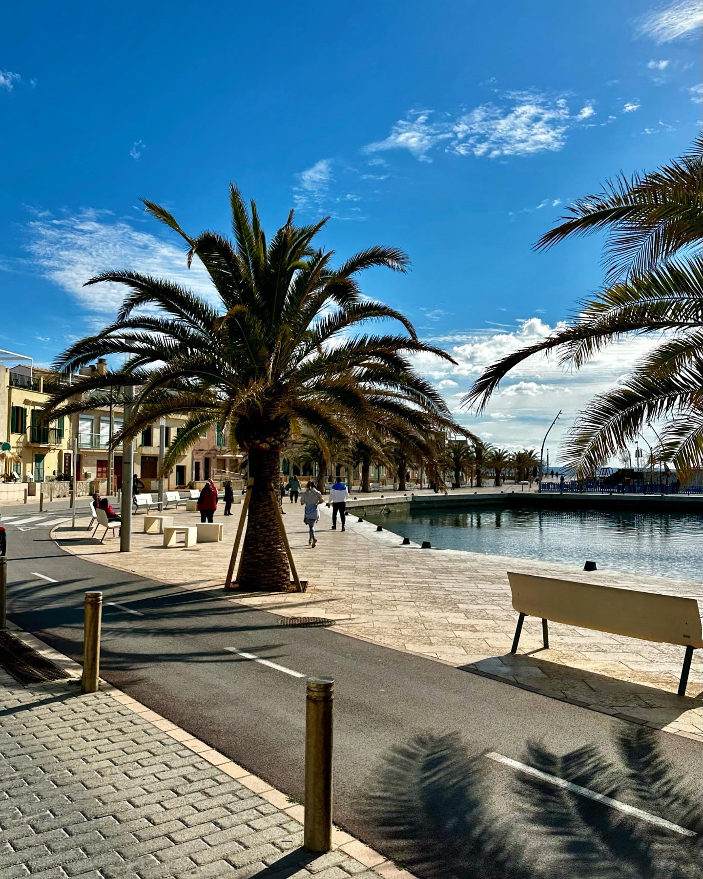 Dana Rau Properties | Palma de Mallorca
