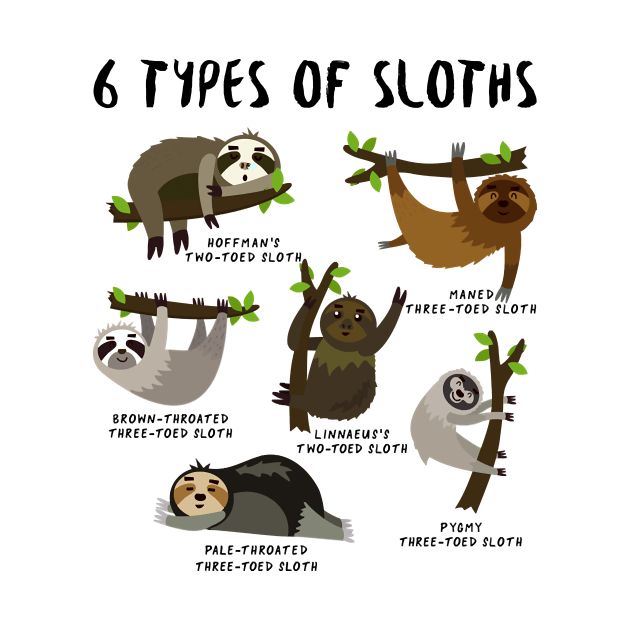 Sloth Lovers - Types of sloth | Facebook