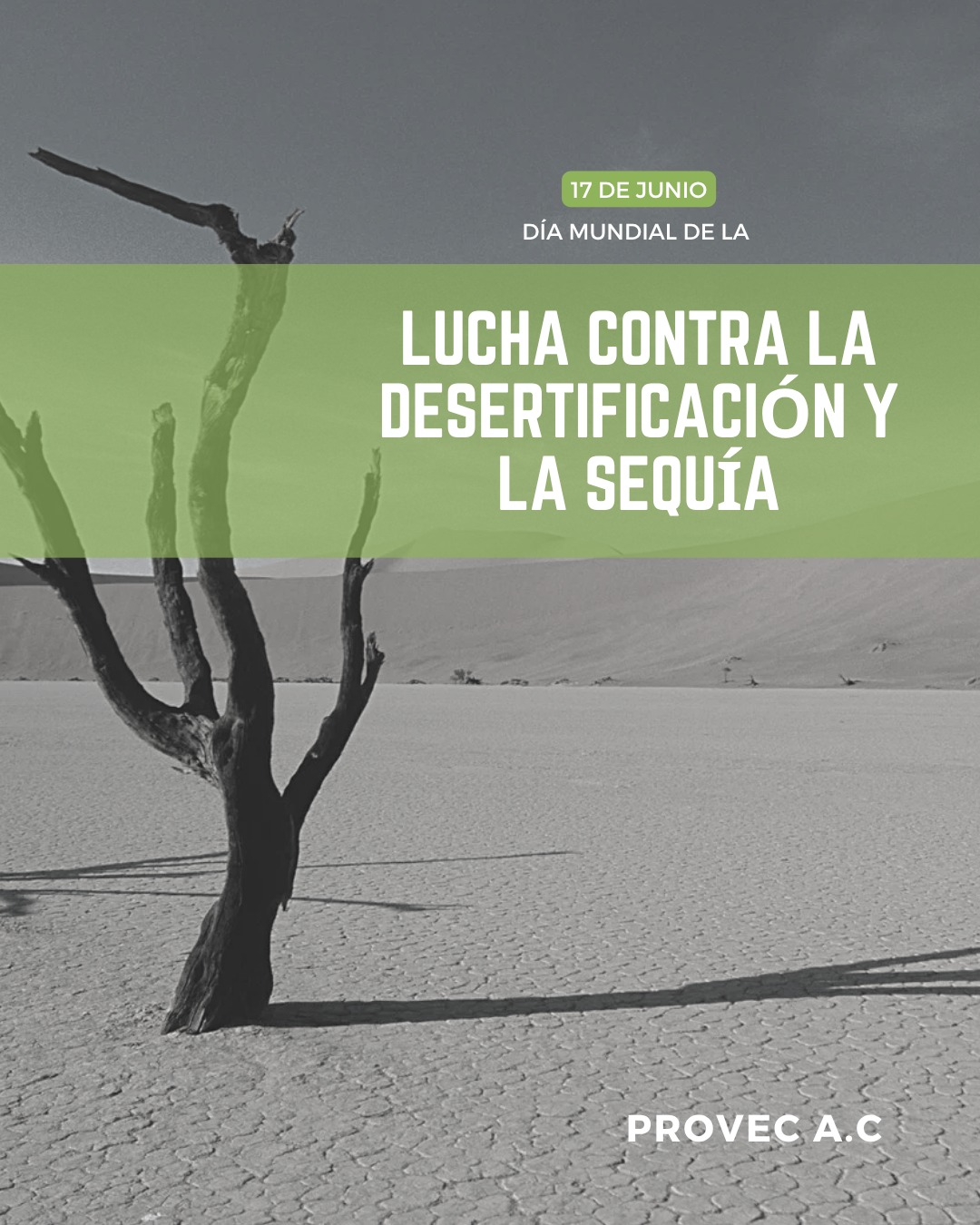 Provec - 🌍 17 de junio — Día Mundial de la Lucha contra la ...