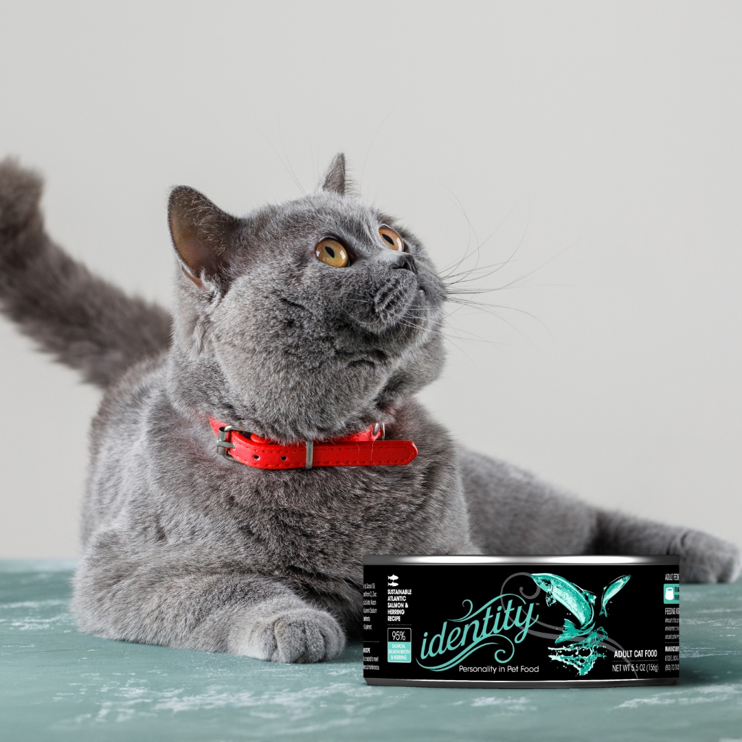🐟 Give your feline friend a taste... - identity Pet Nutrition