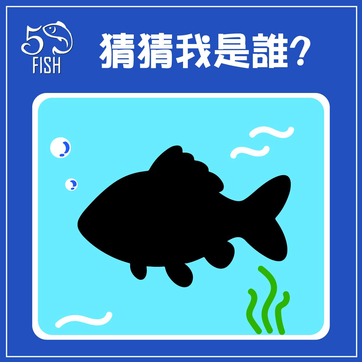 50魚-幼魚舖：食用魚苗、觀賞魚苗養殖場2.0 - 【即將回歸｜猜猜我是誰】 💡淡水之寶、鱗片閃爍 💡成長快速、生存力高 💡耐熱耐寒、繁殖力強 ...