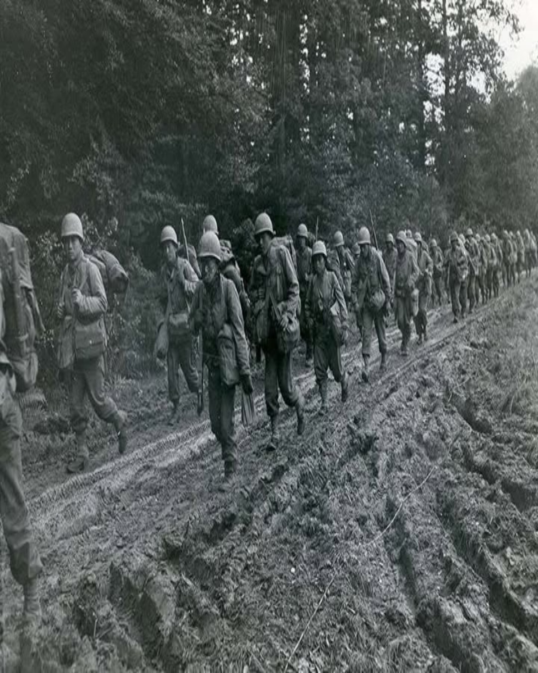 Forgotten - During World War II, the 442nd Regimental Combat Team ...
