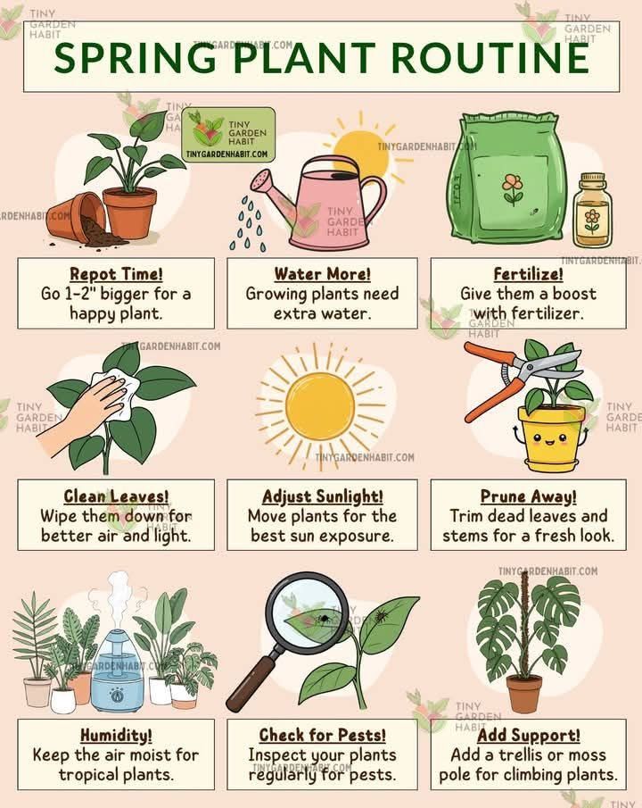 New - provides a comprehensive spring plant routine to ensure your ...