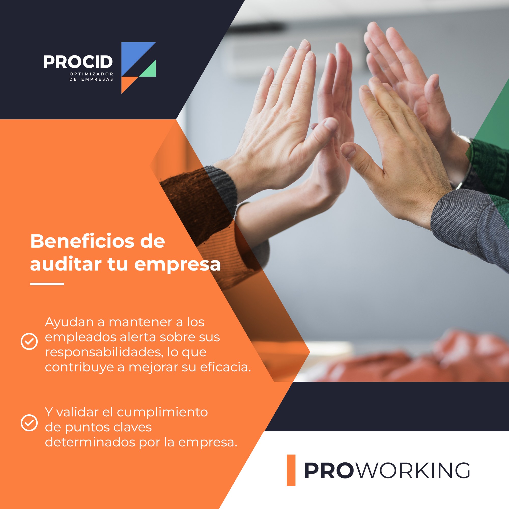 PROCID - ¿Cuál es el objetivo de una auditoría y por qué...