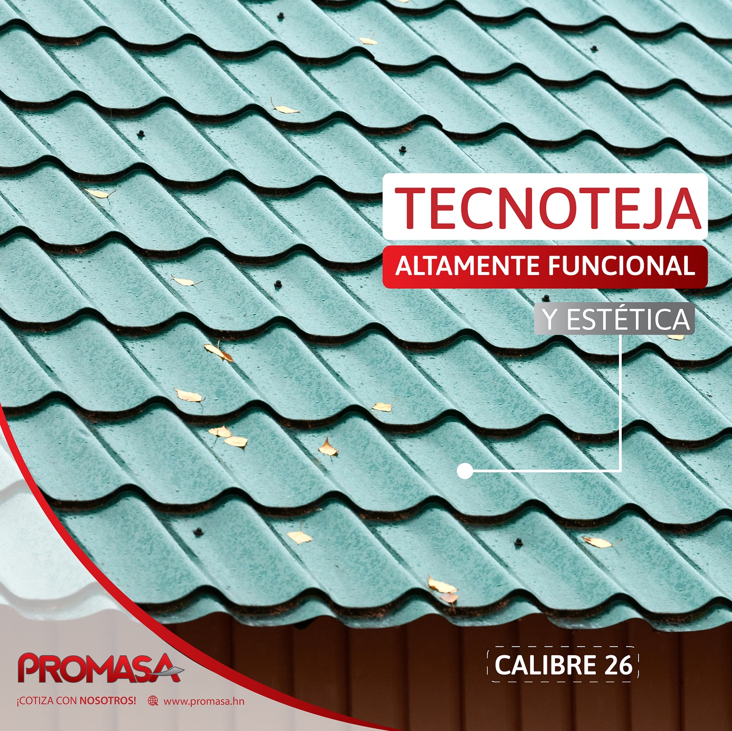 👉🏻 Elige el color que mejor se adapte... - Promasa Nicaragua | Facebook