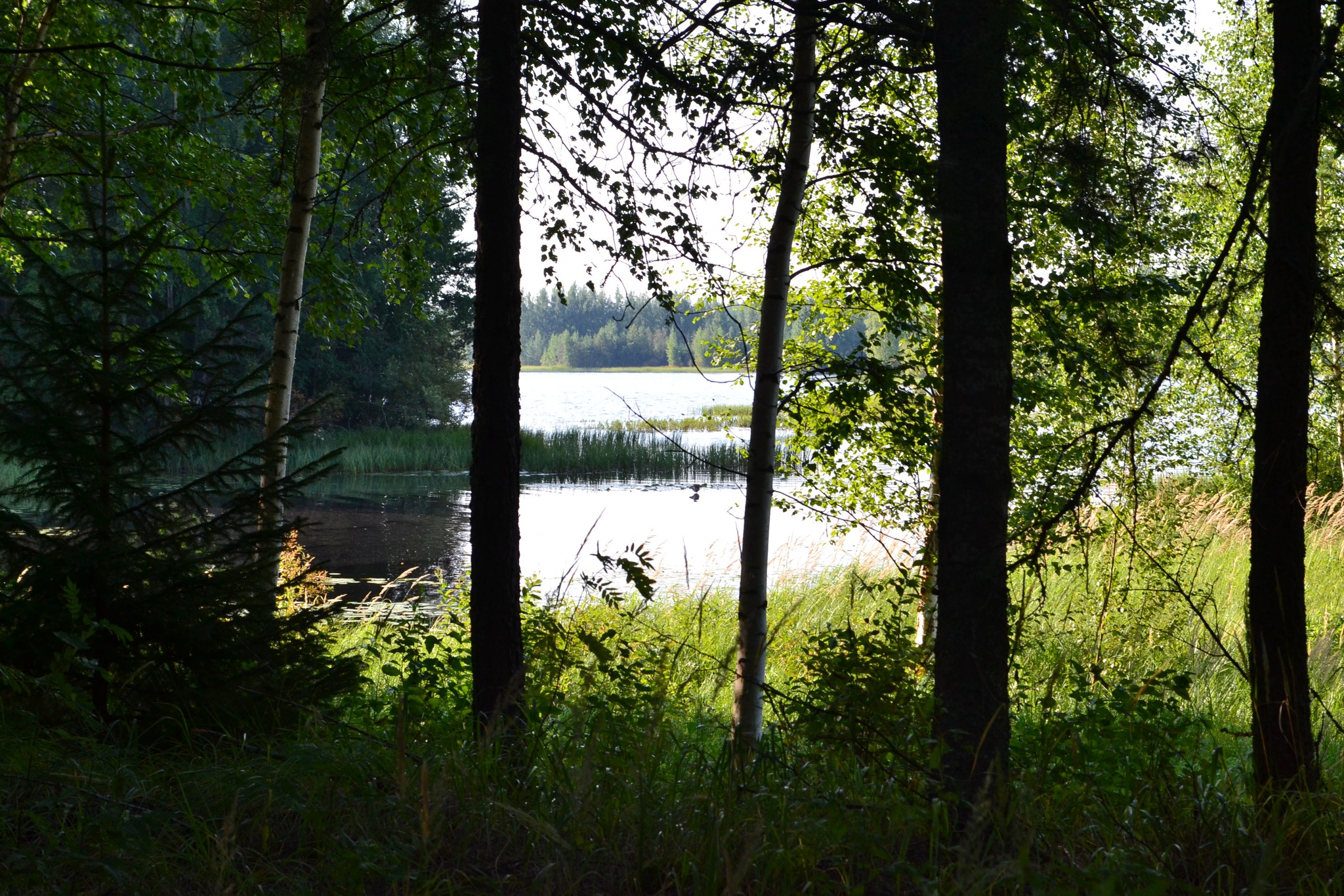 Suomen... - Suomen Punainen Risti Sievi-Ylivieskan osasto