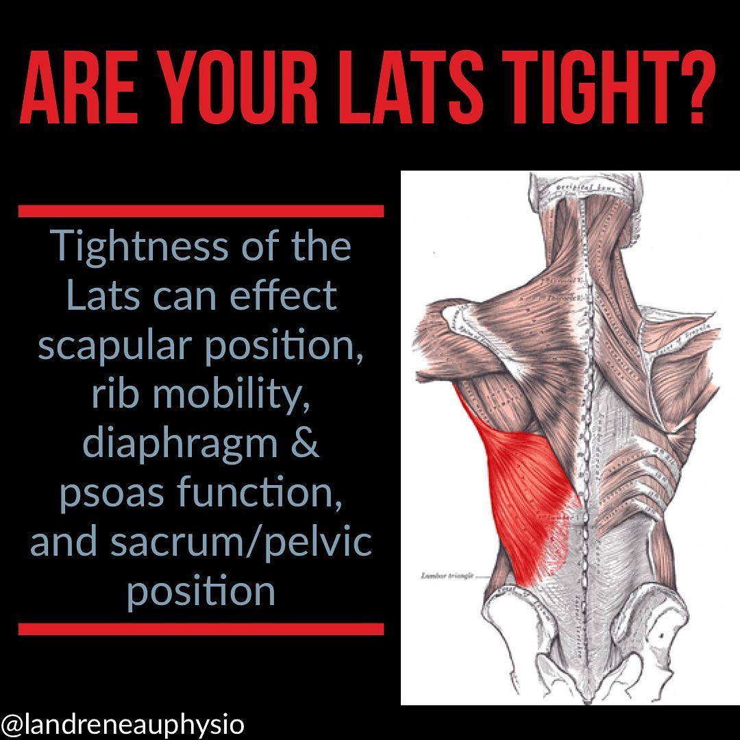 [TIGHTNESS OF THE LATISSIMUS... - Landreneau Physiotherapy | Facebook