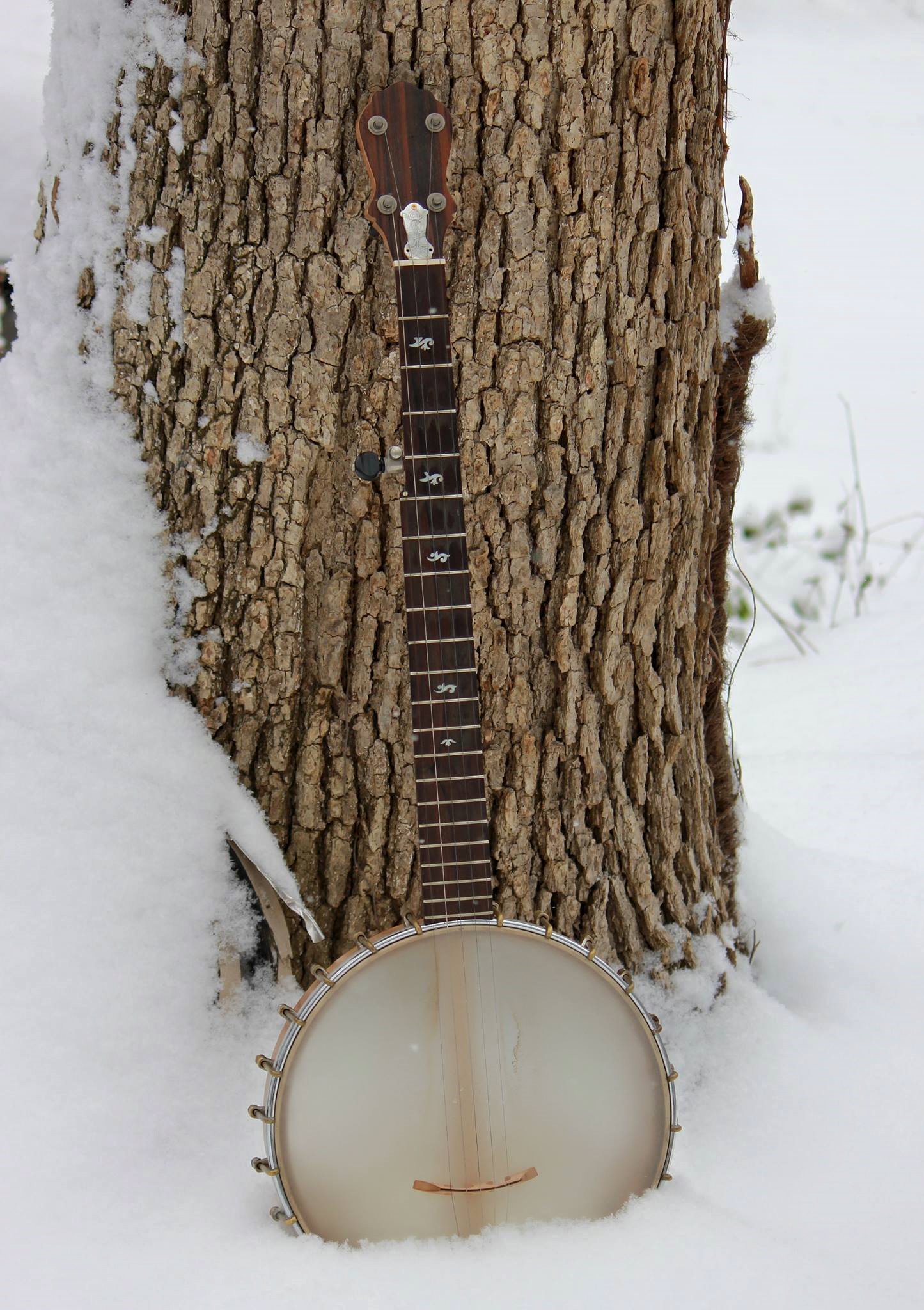 English Mountain Stringed Instruments