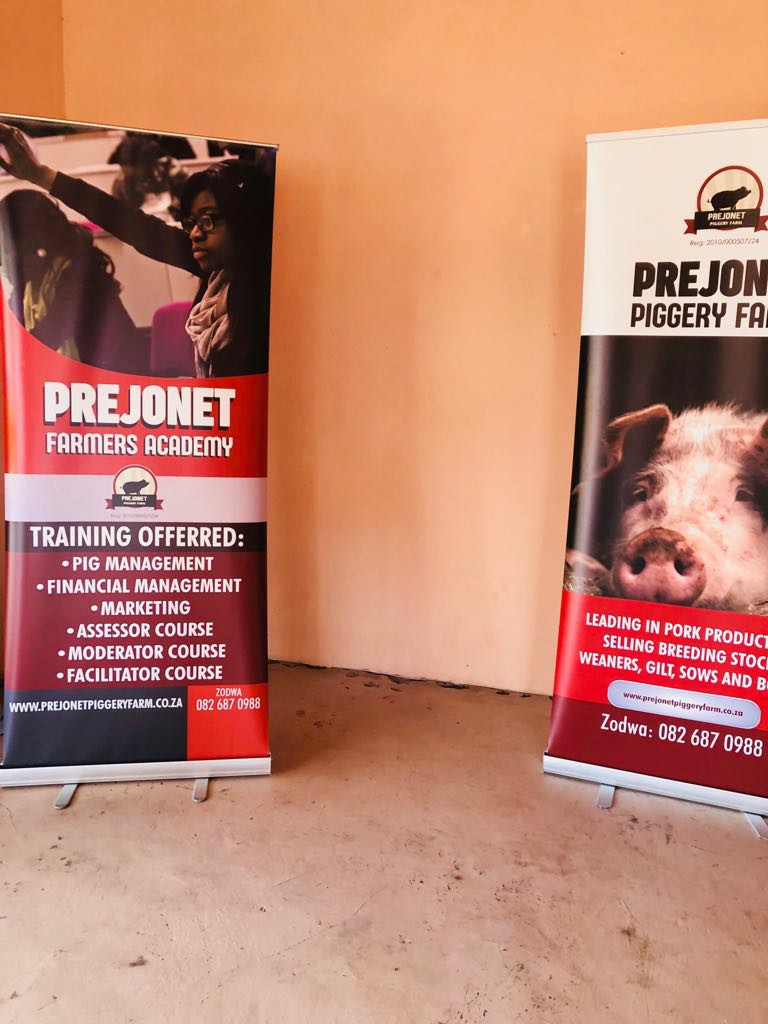 Prejonet Piggery FARM | Pretoria
