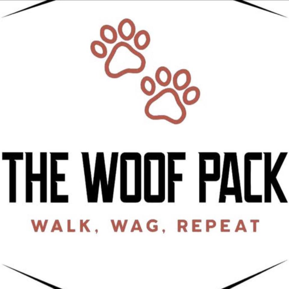🐾 MEET BRODIE — THE NEWEST... - The Woof Pack Dog Walking | Facebook