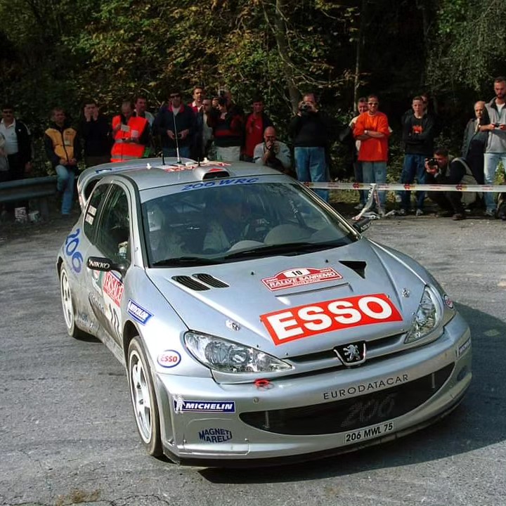 Rally d'Italia Sardegna 2006 G.Galli / G.Bernacchini Peugeot 307