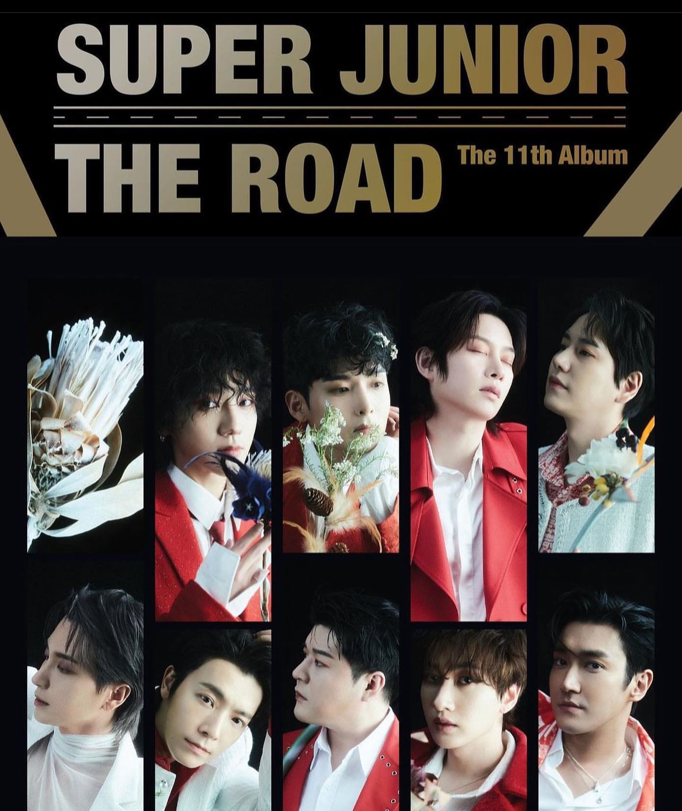 K-POP・アジア superjunior SUPER JUNIOR-83z on the cover of Spotify's All New K-Pop playlist