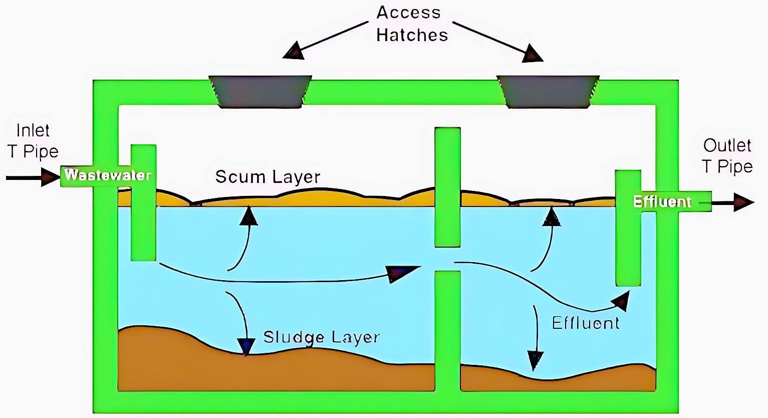 G_viral - This image is a simplified diagram illustrating the internal ...