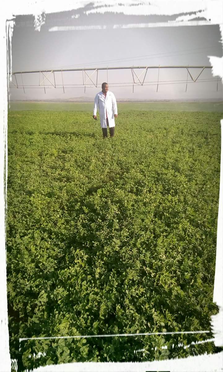 Advisor for Alfalfa farm establishment in Ethiopia. | Adama