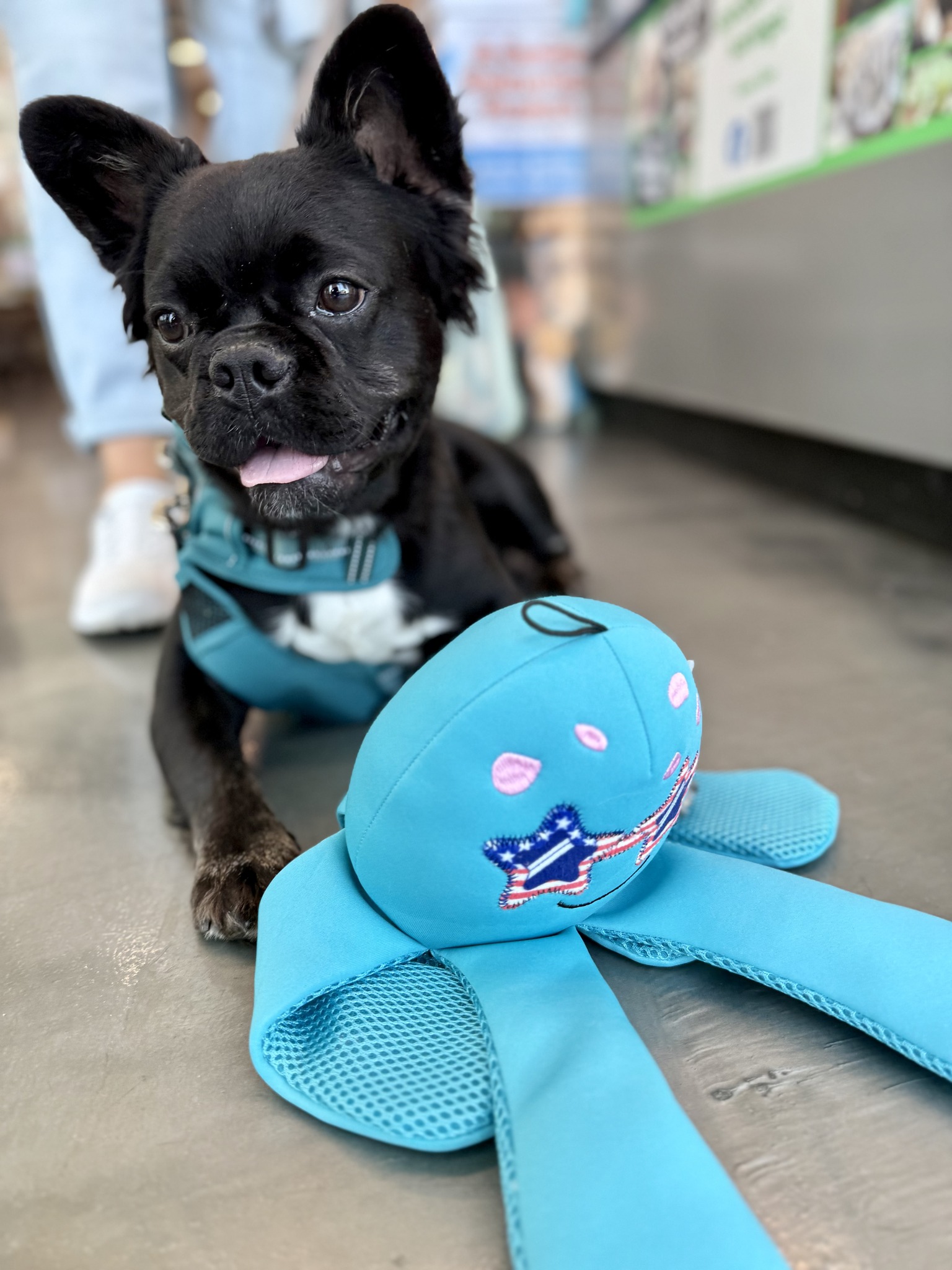 Live Like Roo Foundation | Arlington Heights IL