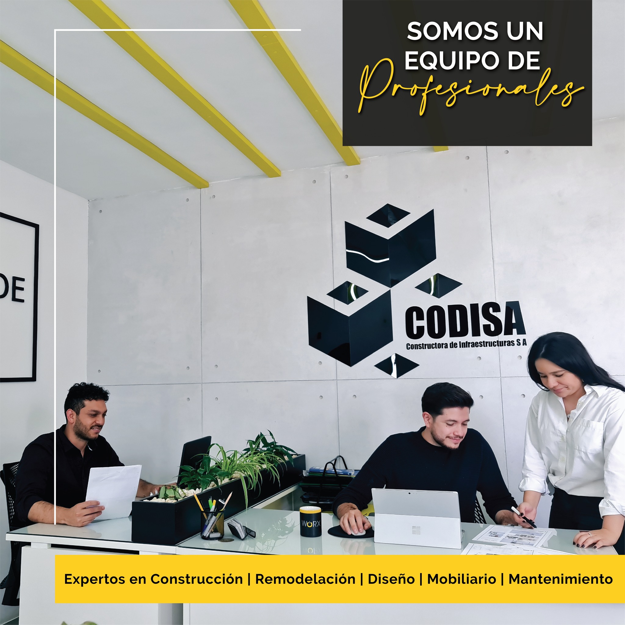 Codisa - 👍🏻Somos una empresa profesional y comprometida con talento ...