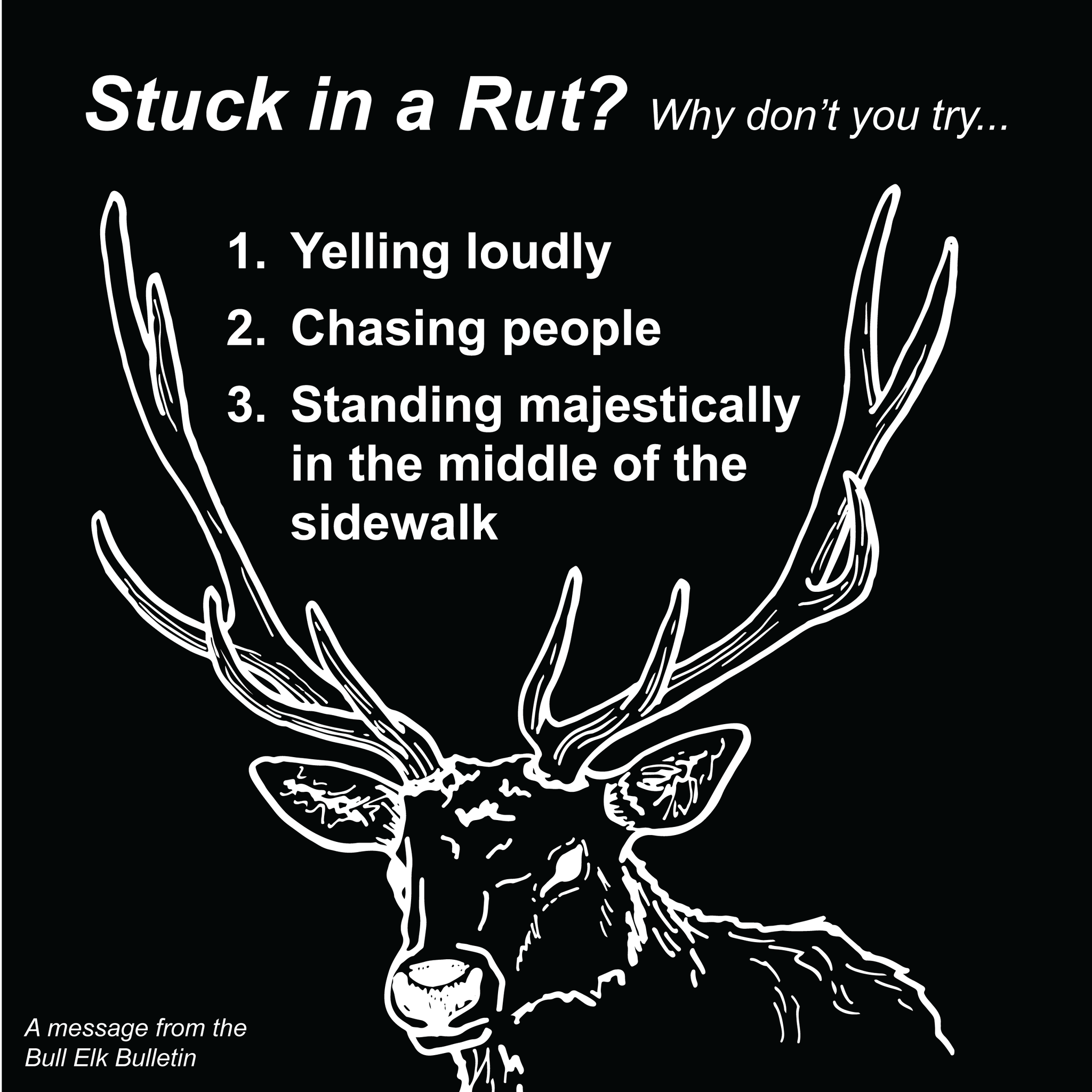 What the elk is going on?!... - Grand Canyon National Park | Facebook