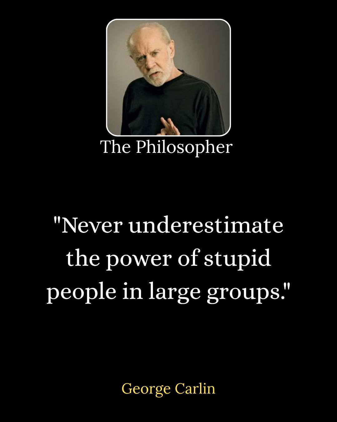 T-shirt George Carlin 'Never Underestimate The Power Of Stupid Groups' - Tailles S à 4XL - Personnalisable