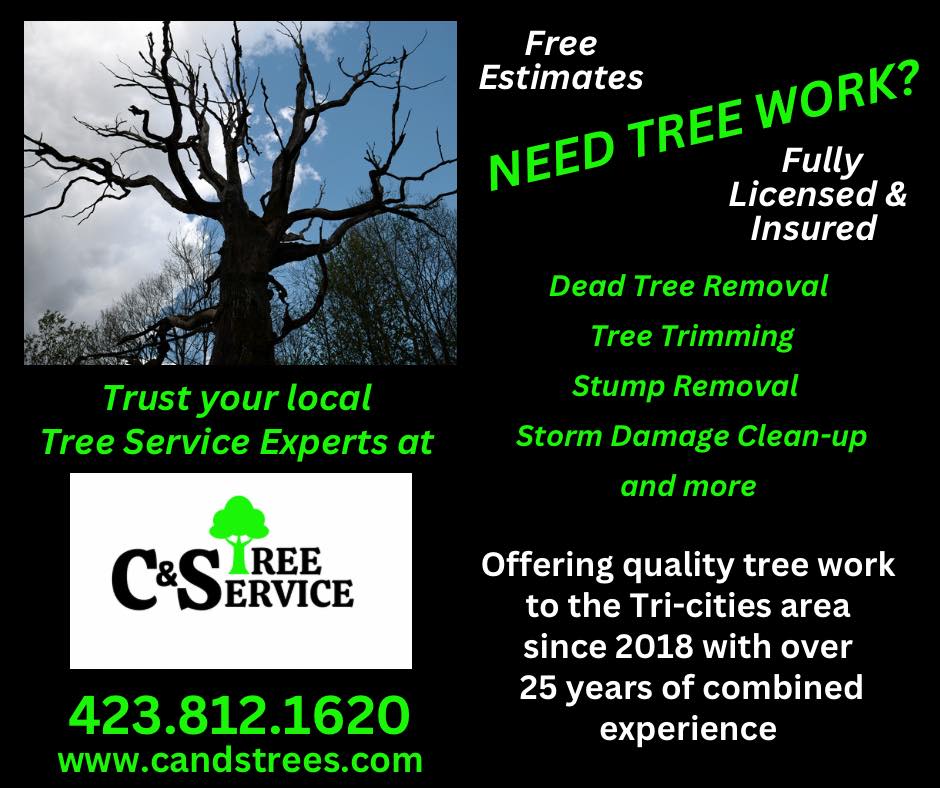 C & S Tree Service | Greeneville TN