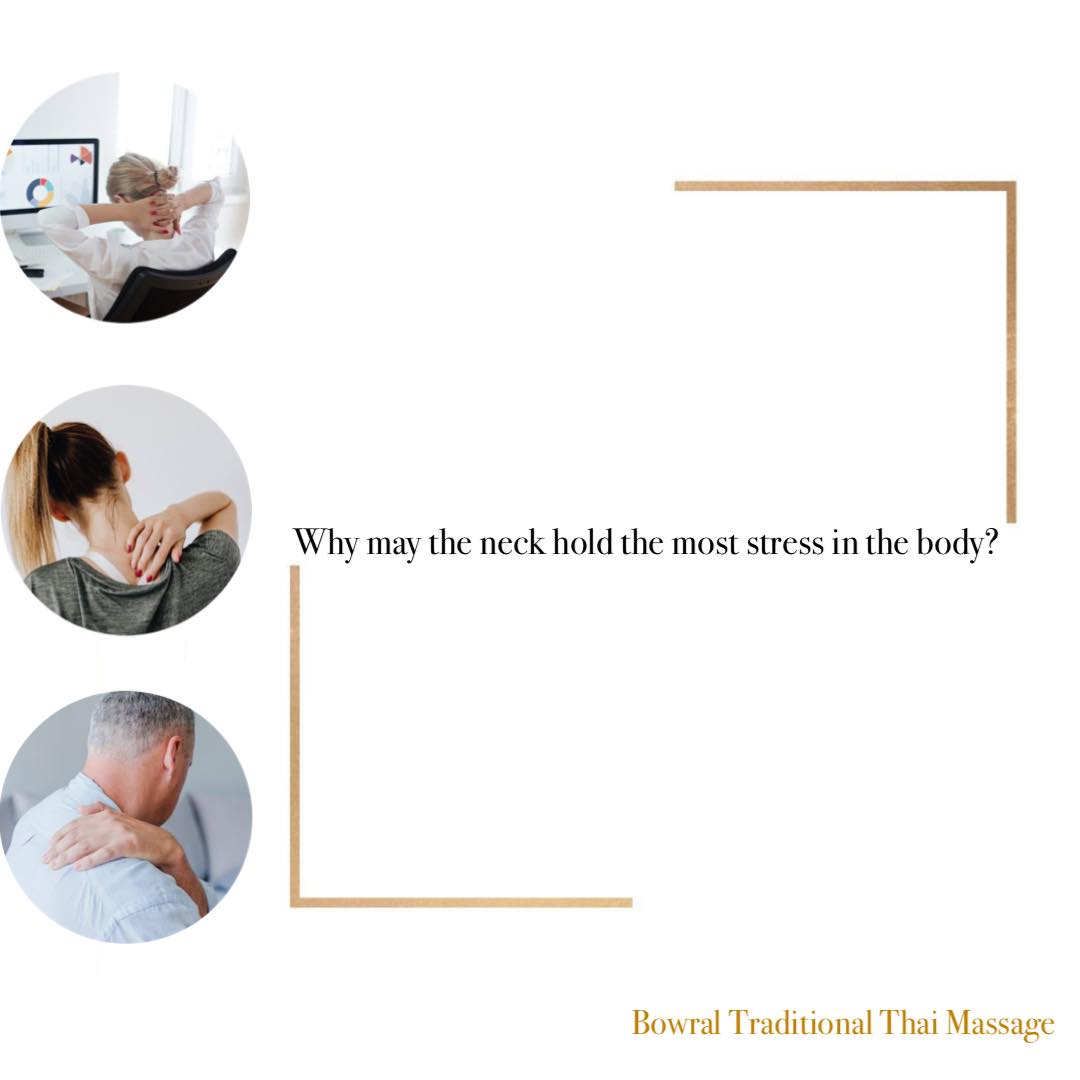 BowralTraditional - Why may the neck hold the most stress in the body ...