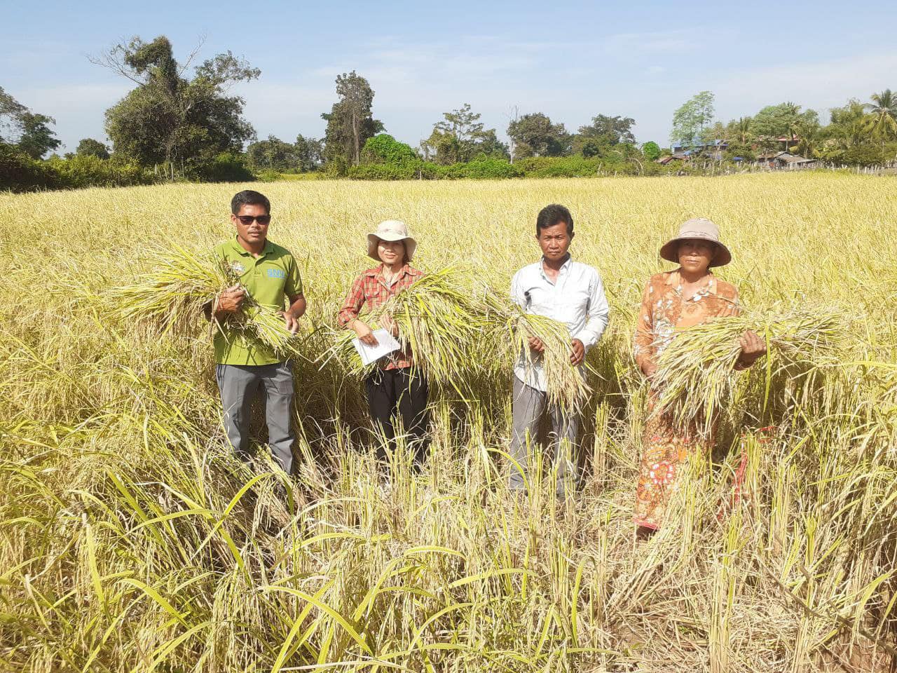 Natural Rice Made By Khmer Farmers Shop