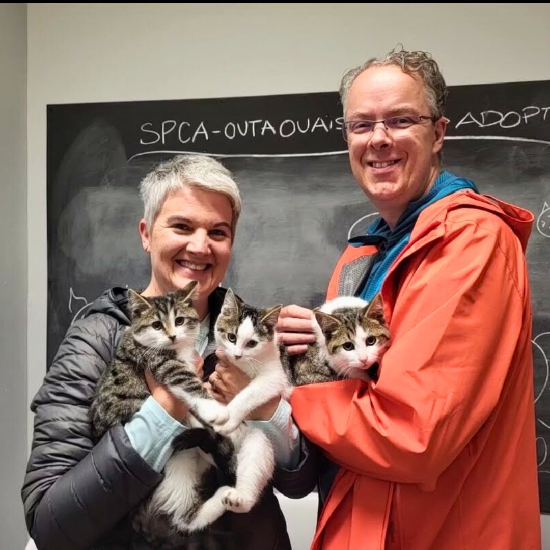 𝗨𝗻𝗲 𝘁𝗿𝗶𝗽𝗹𝗲 𝗮𝗱𝗼𝗽𝘁𝗶𝗼𝗻 𝗲𝘁 𝘂𝗻𝗲 𝗱𝗼𝘂𝗯𝗹𝗲... - SPCA de l'Outaouais | Facebook