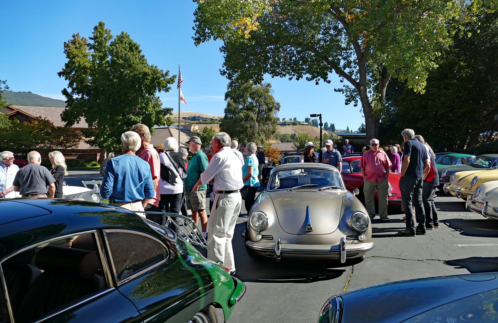 356 California Alta Region