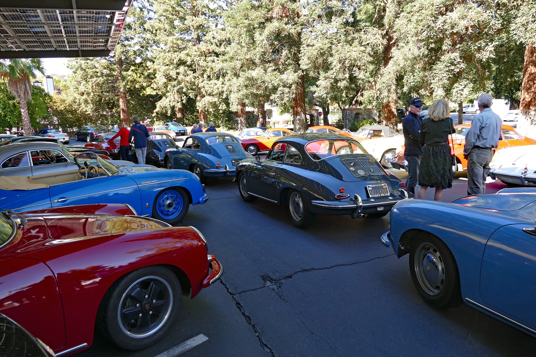 356 California Alta Region