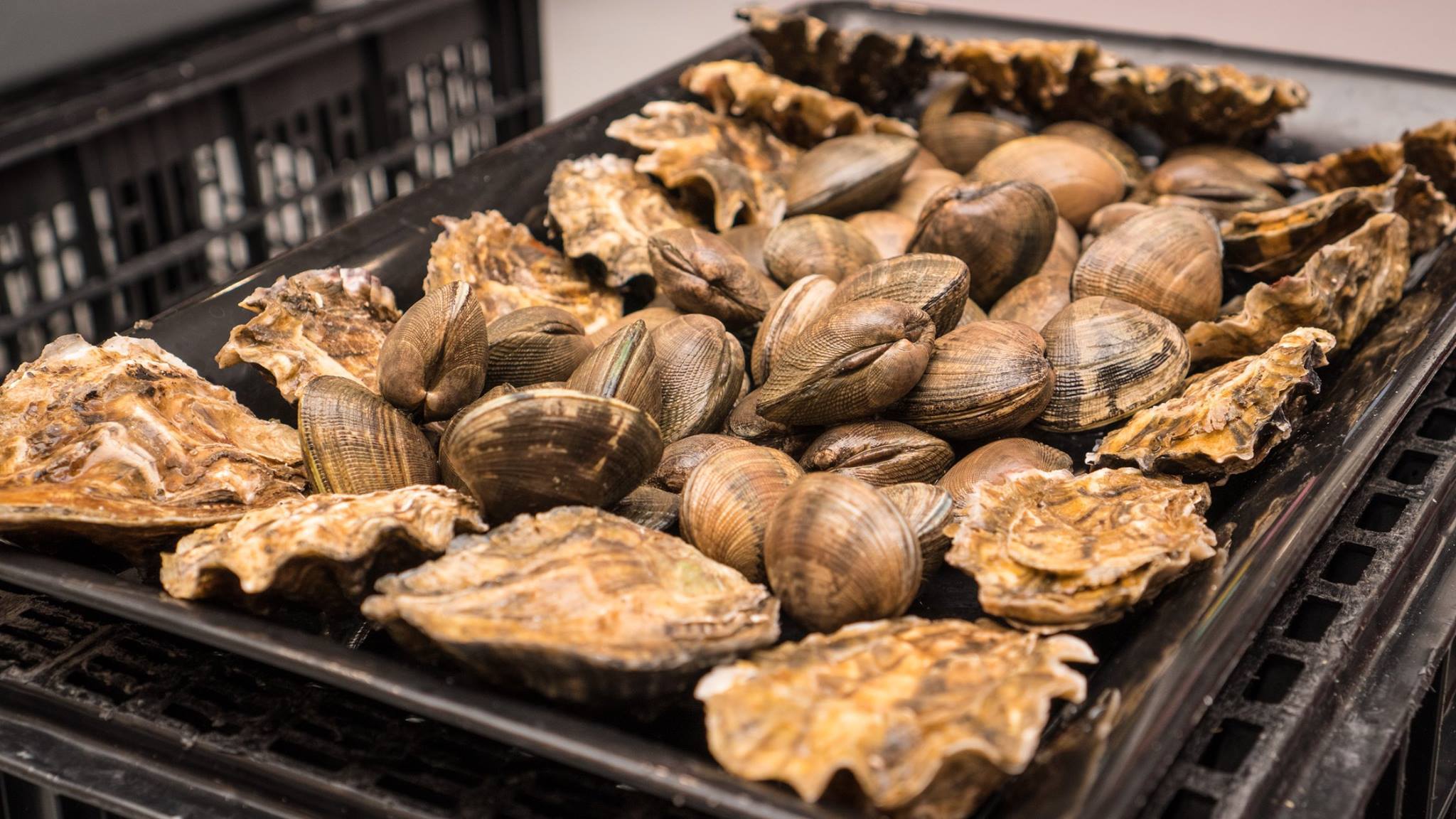 At Rivera’s... - Rivera’s Shellfish Meat & Seafood Market | Facebook