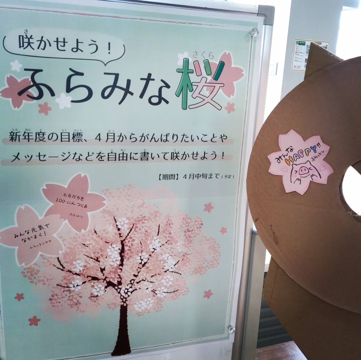 ゴーヤ、身が破裂しました！⁡ どうした？！と⁡驚いたのですが、⁡ ⁡完熟 