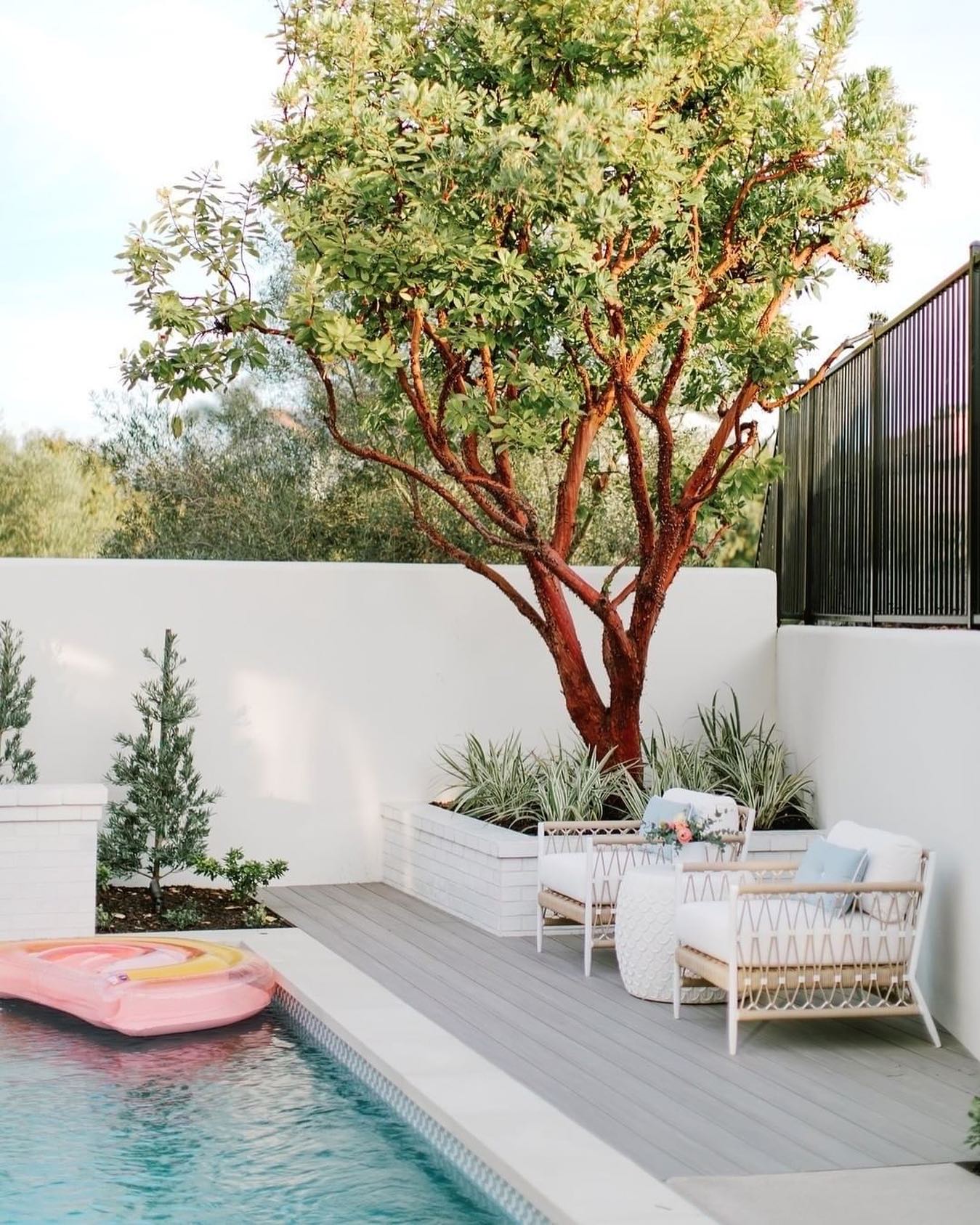 The Strawberry Tree, a... - The Standard Design Group