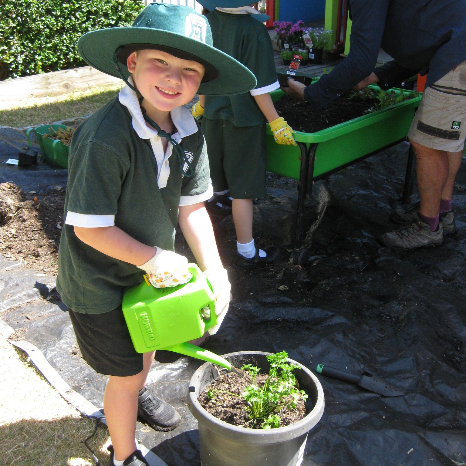 Today we recognise World... - Holy Cross School Wooloowin